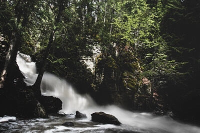 Nature