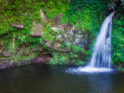 Nature