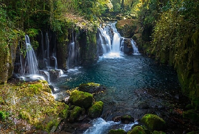 Nature