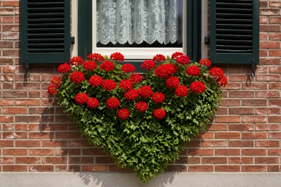 Heart Window Box
