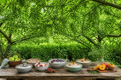 Orchard Yogurt Picnic