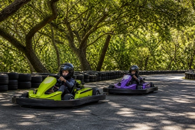 Outdoor Karts Trees