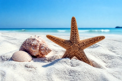 Starfish with Shells(grok)