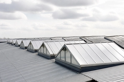 Warehouse Roof Skylights(grok)
