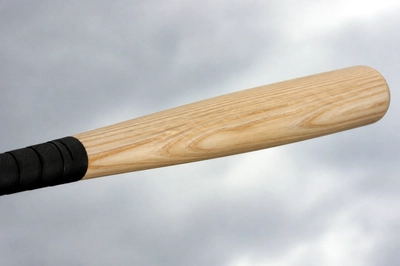 Overcast Bat Closeup