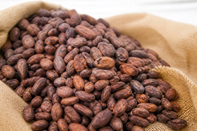 Roasted Cocoa Beans(grok)