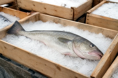 Overcast Ice Crate Cod