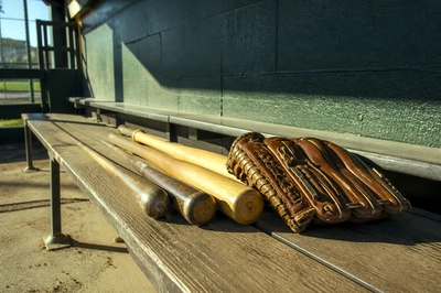 Morning Bats Gloves