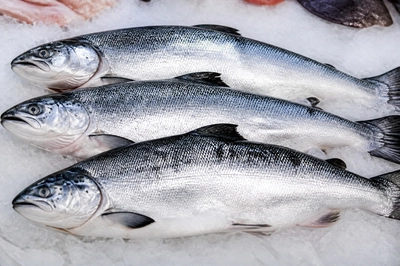 Market Silver Coho(grok)