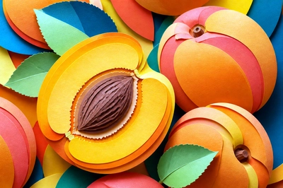 Papercut Halved Fruit(grok)