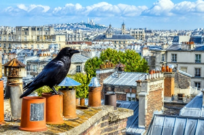 Travel City Rooftop(grok)