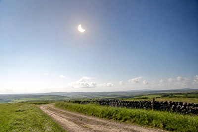 Sunny Partial Fields