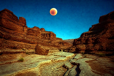 Documentary Desert