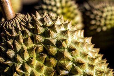 Afternoon Spike Closeup