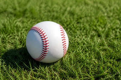 Baseball on Grass(grok)