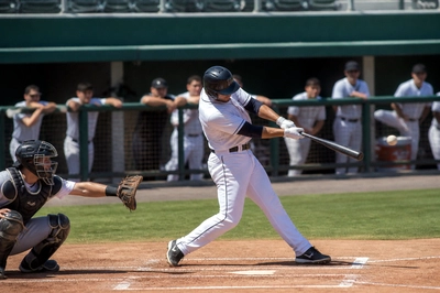 Baseball Batter(grok)