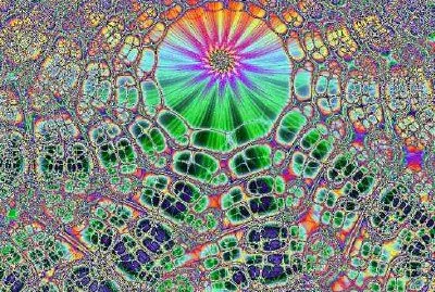 Fractal Lattice (sumbitted by Stanley Miller) jigsaw puzzle