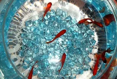 פאזל של קערה עם דג זהב (הוגש על ידי נחל א ')