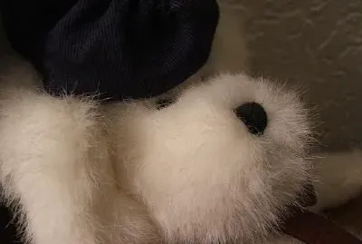 Get Well Bear (przesłane przez Richa Taylora)