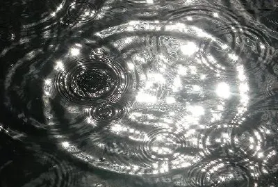 水たまり