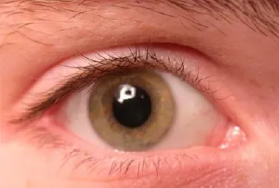 Eye jigsaw puzzle