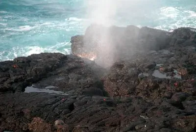 Les îles Galapagos