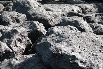 加拉帕戈斯群島