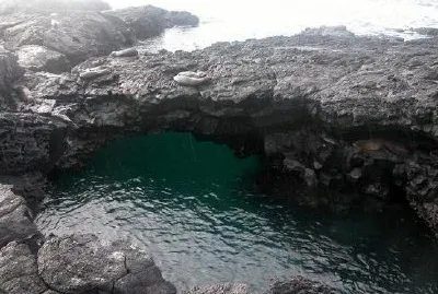 Galapagos