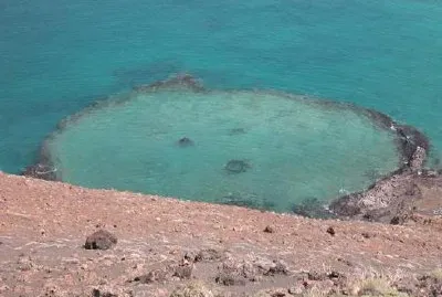 Die Galapagos