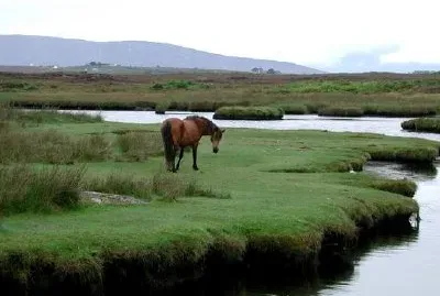 Connemara, Irland