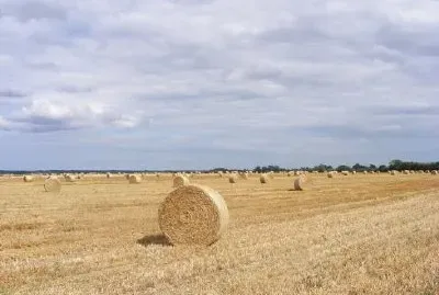Billets av hö med full himmel