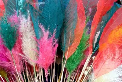 Feathers jigsaw puzzle