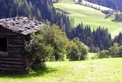 Zwieselegg - Wagrain, Österreich