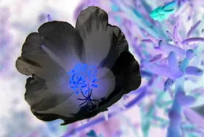 абстрактно