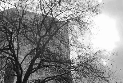 Bellevue, Washington, Stati Uniti