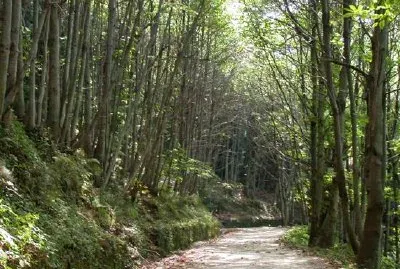 Италия Пейзаж