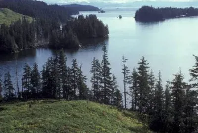 Litoral de Afognak, Baía de Kazakof, 1986