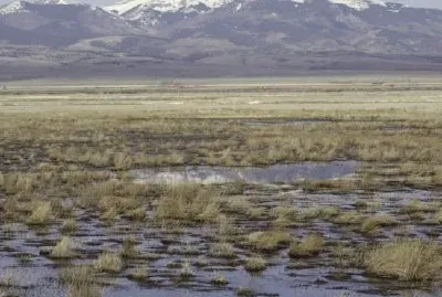Alamosa / Monte Vista National Wildlife Refuge