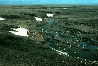 1002 Gebiet: Porcupine Caribou Herd