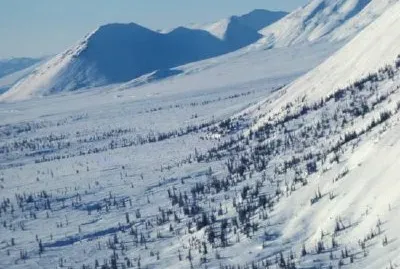 Bankerna av Coleen River