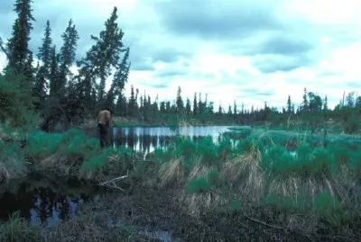 Язовир и езерце Бобър