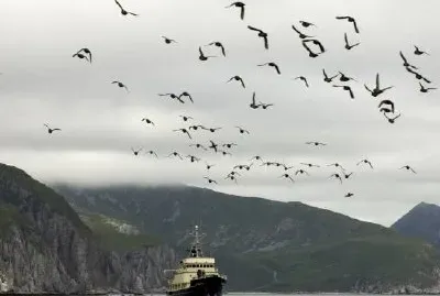 Големият остров Конюджи и MV Tiglax