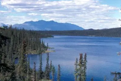 Lago Blackfish