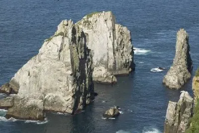 Colonias de aves marinas chowiet