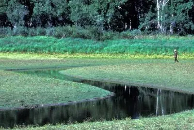Mokradła Schronienia Innoko