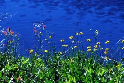 Мраморна планинска пустиня