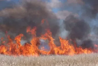 Marsh burn en Tule Lake National Wildlife Refuge 2005.