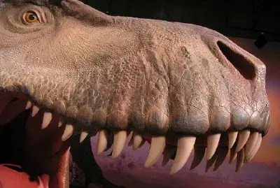 Dinozaur