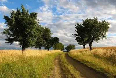 Natur