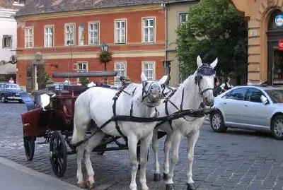 布達佩斯的馬車